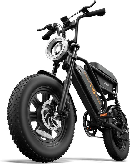 Fat Tire Electric Bike for Adults, 48V 13Ah Removable Battery, 250W Brushless Motor E-Bike with Dual Suspension