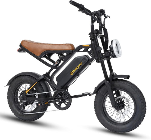 Electric Bike for Adults, 48V 13.5Ah Removable Battery, 250W Brushless Motor E-Bike with LCD Display