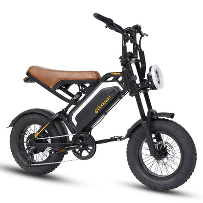 Electric Bike for Adults, 48V 13.5Ah Removable Battery, 250W Brushless Motor E-Bike with LCD Display