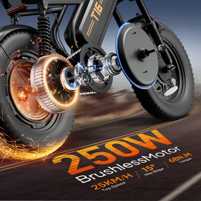 Fat Tire Electric Bike for Adults, 48V 13Ah Removable Battery, 250W Brushless Motor E-Bike with Dual Suspension