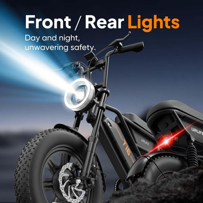 Fat Tire Electric Bike for Adults, 48V 13Ah Removable Battery, 250W Brushless Motor E-Bike with Dual Suspension