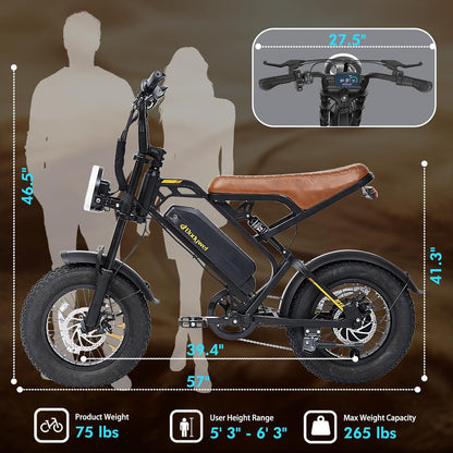 Electric Bike for Adults, 48V 13.5Ah Removable Battery, 250W Brushless Motor E-Bike with LCD Display